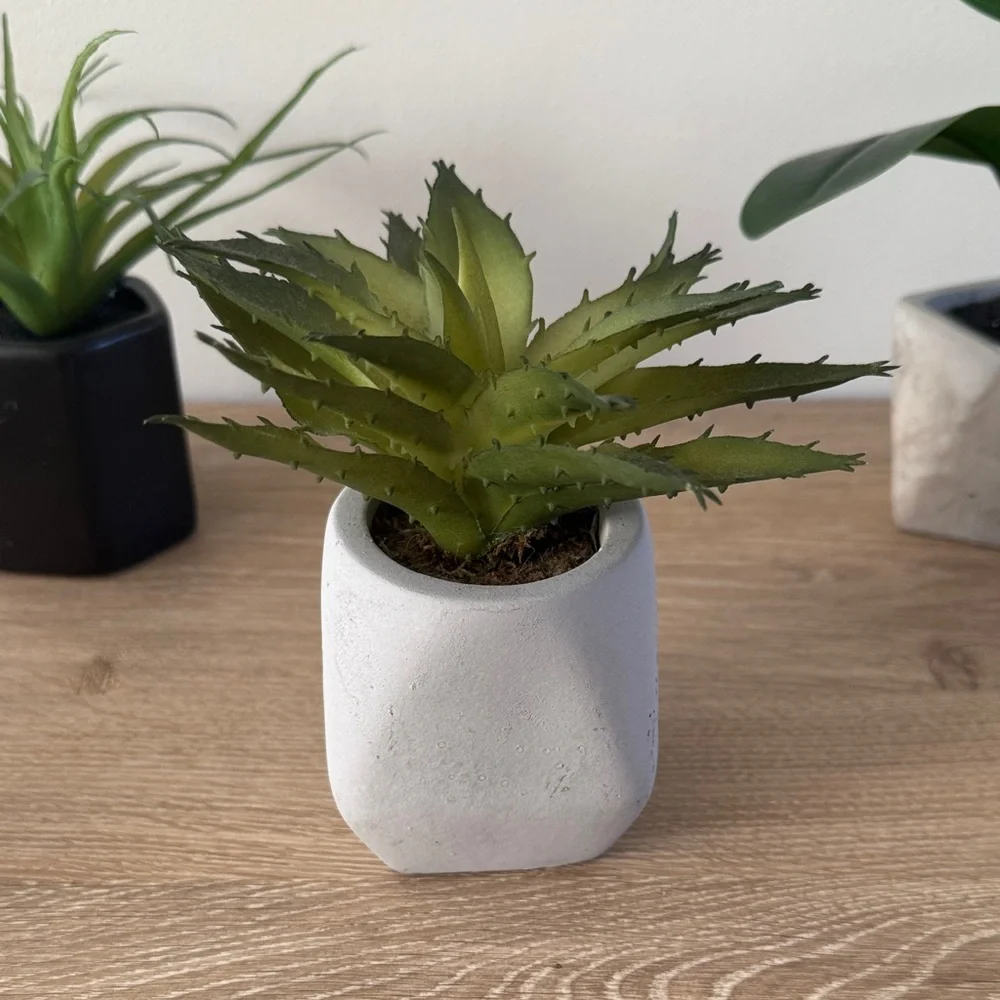 Target Project 62 Faux Plants (set 3)